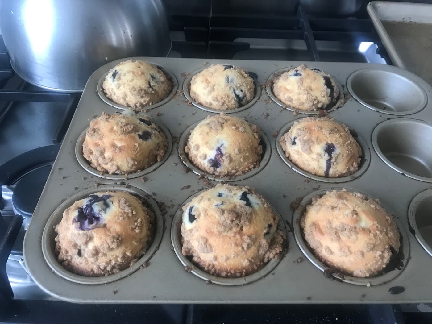 Blueberry muffin