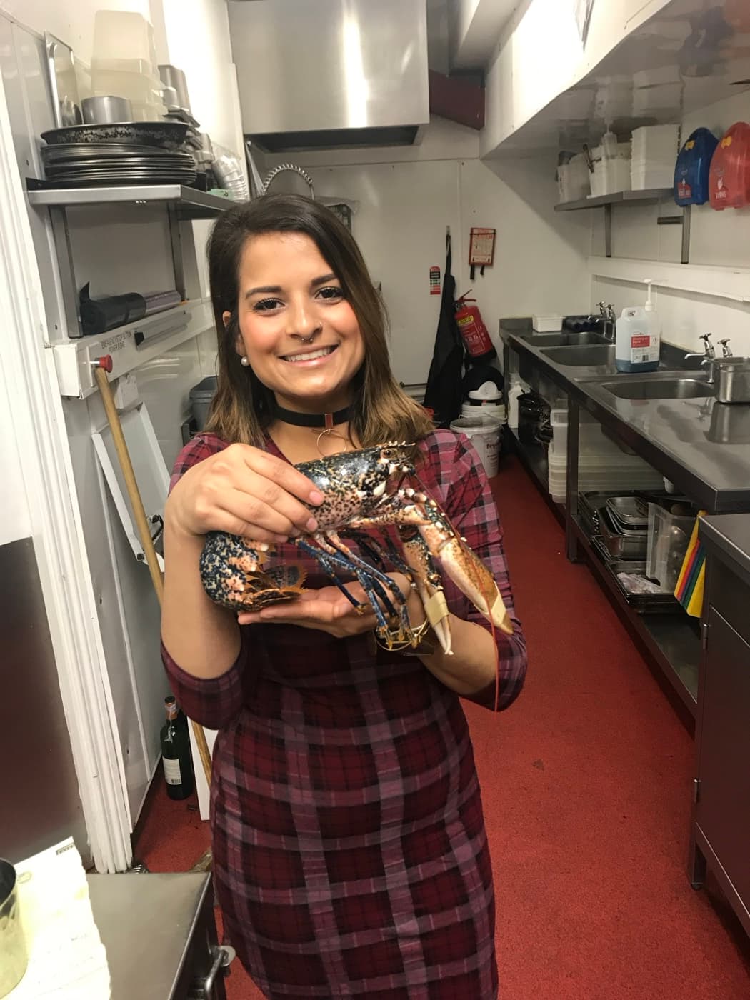 Chef holding a lobster